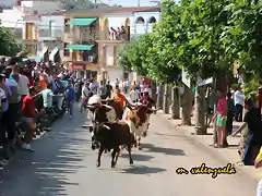 09, en la avenida, marca