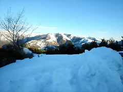 DSCN1986 DSCN1986