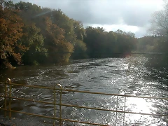 DSCN4685 DSCN4685