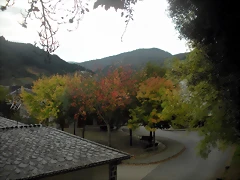 DSCN9378 DSCN9378