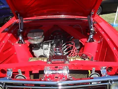 SDC13687 SDC13687