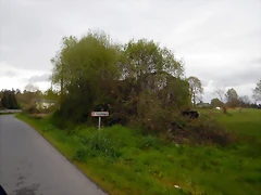 DSCN9233 DSCN9233