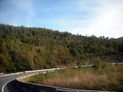 DSCN9184 DSCN9184