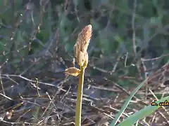 06, esperando su turno, marca