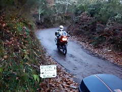 DSCN1433 DSCN1433