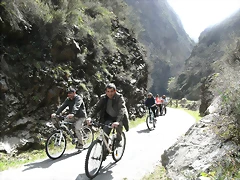 R0012370 R0012370