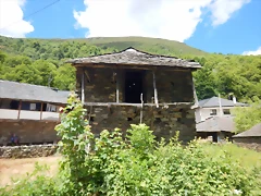 DSCN3107 DSCN3107