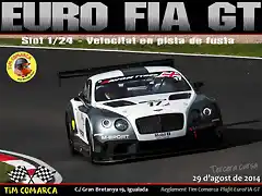 Cartell FIA GT - Cursa 3