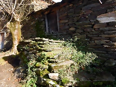DSCN1153 DSCN1153