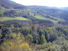DSCN6717 DSCN6717