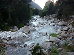 IMG_20170618_090603 IMG_20170618_090603