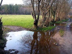 DSCN7236 DSCN7236