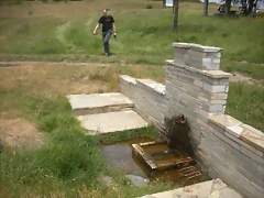 DSCN6246 DSCN6246