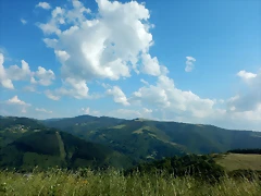 DSCN2396 DSCN2396