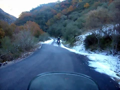 DSCN6959