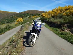 DSCN0977