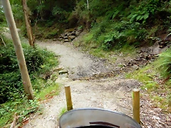 DSCN5860 DSCN5860