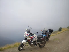 P8110036 P8110036