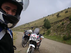 P8110038 P8110038