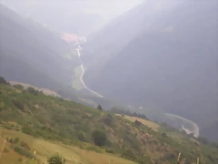 P8110043 P8110043