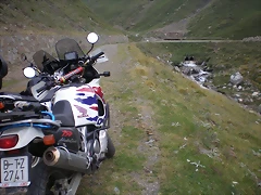 P8110040 P8110040