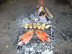 DSC08148 DSC08148