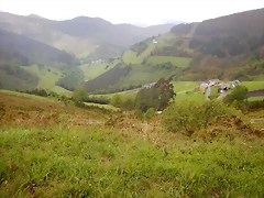 DSCN0647 DSCN0647