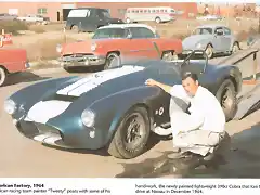 Tweety_with_the_Lightweight_390_Cobra