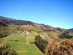 DSCN4393 DSCN4393