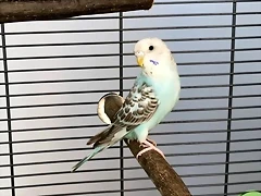 20180715_160231