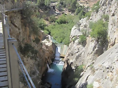 IMG_4327 IMG_4327