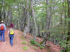 DSCN3842 DSCN3842
