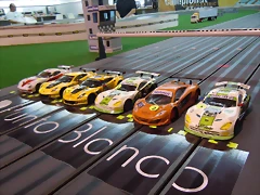 DSCN3895 DSCN3895
