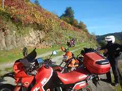 DSCN4495 DSCN4495