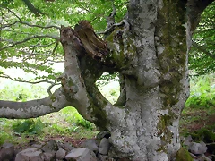 DSCN3838 DSCN3838