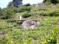 DSCN3400 DSCN3400