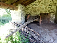 DSCN2467