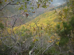 DSCN0649 DSCN0649