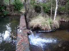 IMG_0525 IMG_0525