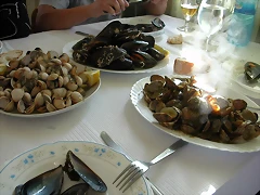 DSCN9317 DSCN9317