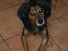 aramis1 aramis1