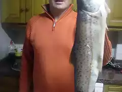 reo pescado en la concha de artedo