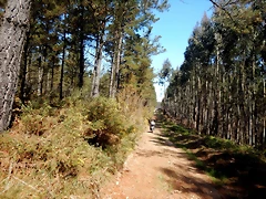 DSCN4908 DSCN4908