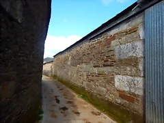 DSCN6383 DSCN6383