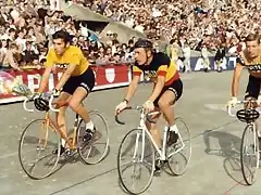 MERCKX-VAN SPRINGEL.BRUYERE.