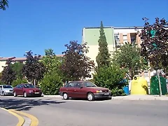 zona-cinco-rosas-sant-boi-de-llobregat_87-img386564-1879412