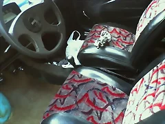 interior en arreglo