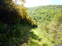 DSCN4845 DSCN4845