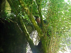 DSCN2410 DSCN2410