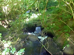 DSCN2411 DSCN2411